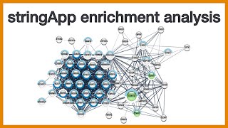 stringApp enrichment analysis Brief introduction to the GSEA functionality of Cytoscape stringApp [upl. by Roots105]