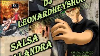 Salsa Malandra Dj Leonardheyshon Desde Carutal Calabozo Edo Guárico [upl. by Miche]