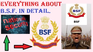 Everything About BSF [upl. by Mikael]