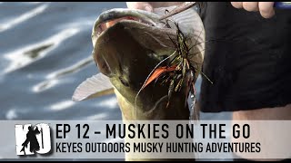 Muskies on the Go  Keyes Outdoors Musky Hunting Adventures [upl. by Isleana420]