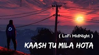 Kaash Tu Mila Hota Slowed  Reverb LoFi MidNight  Jubin Nautiyal  Lyrics  Musical Reverb [upl. by Goldy]