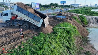 New Project Just Start Fill Huge Pond Up Using Sand With Bulldozer Push N Trucks 10 Wheels Unload [upl. by Anileme]