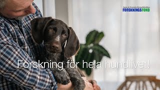 Forskning för hela hundlivet [upl. by Dorehs]