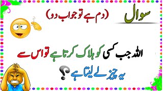 Islamic common sense Urdu paheliyan challenge your brain today naveedqr101 general knowledge [upl. by Radburn]