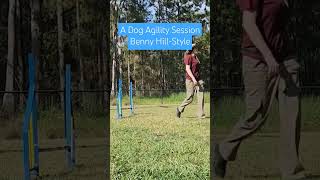 A Dog Agility Session Benny HillStyle [upl. by Auof]