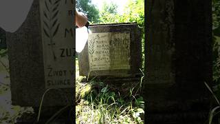 clean cleaning gravestone graveyard grave cemetery asmrvideo asmr headstone stone [upl. by Kired76]