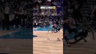 Lamelo’s insane 👀 basketball nba hornets pass [upl. by Giesecke250]