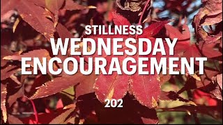 Wed Encouragement Stillness [upl. by Anevad]