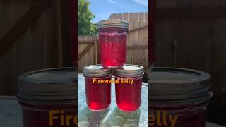 Fireweed Jelly [upl. by Thema]