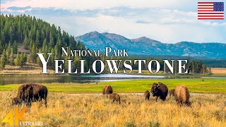 Yellowstone National Park 4K Ultra HD • Stunning Footage Scenic Relaxation Film with Calming Music [upl. by Ahsiuqel]