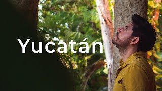 ¿Qué es el Henequén · Recorriendo Yucatán [upl. by Ahseikram]