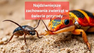 Najdziwniejsze zachowania zwierząt w świecie przyrody [upl. by Gerius242]