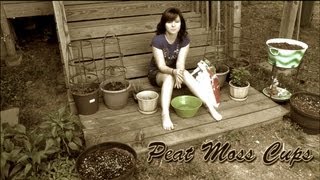 Planting Peat Moss Cups [upl. by Namlak]