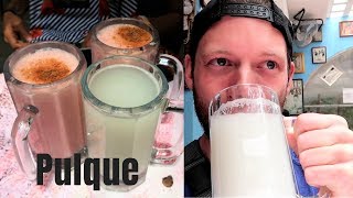 Gringo Drinks Pulque Mexicos Ancient Alcoholic Beverage [upl. by Nylirad952]