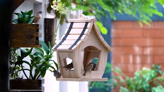 DIY Wooden Bird Feeder [upl. by Gladdie231]