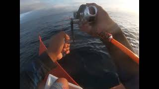 Amberjacks season  Amihan  2023 Year Ender Catch [upl. by Arrek]