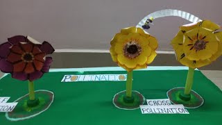 How pollination works project working model pollination [upl. by Rhonda]