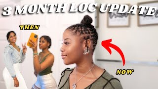 3 Month Loc Update  Retwisting Routine [upl. by Snapp]