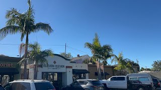 Nice king palms in San Luis Obispo California [upl. by Evelina]