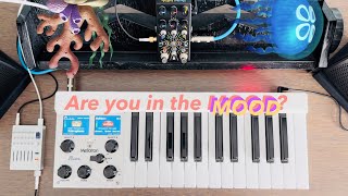 Are you in the MOOD for Mellotron Micro [upl. by Ibbor]