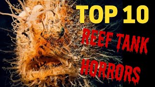 Reef Tank Horrors Top 10 Scary Creatures in the Reefing Hobby [upl. by Arua]