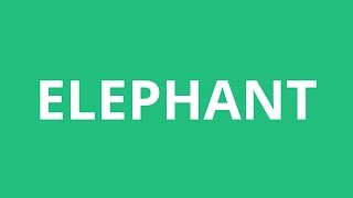 How To Pronounce Elephant  Pronunciation Academy [upl. by Cadman]