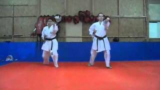 Programação de Exame  Kihon 2º e 3º Kyu Goju Ryu Seigokan [upl. by Ojahtnamas250]