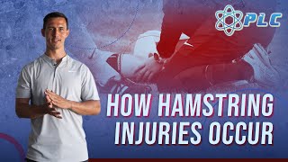 How Hamstring Injuries Occur and How To Prevent Hamstring Injuries [upl. by Naniac332]