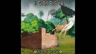 ଦାନା ବାତ୍ୟା ll Natia Comedy ll funny shortcomedy comedyshorts natiacomedy [upl. by Draude]