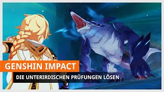 Genshin Impact Die unterirdischen Prüfungen von Drachen und Schlangen Drei Fragmente sammeln [upl. by Backler]