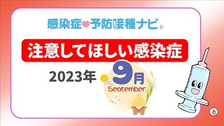 【2023年】9月に注意してほしい感染症！ 専門医「コロナ減少傾向に入るか見極め必要」 季節外れの流行の感染症も… 要注意は梅毒・腸管出血性大腸菌感染症 [upl. by Theresa320]