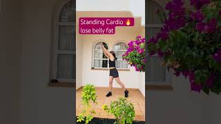 Arm Waist and Belly Burn 🔥All Standing Cardio workout loseweight shortsvideo trendingshorts [upl. by Alane]