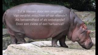 Wilfred  Niemand weet wat ons te wachten staat [upl. by Medor]