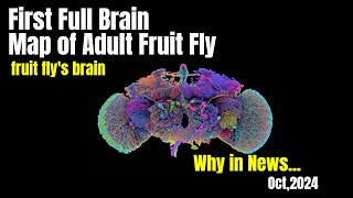 Surprising Fruit Fly Brain Discoveries Nobody Talks About  5th Oct [upl. by Earlie]