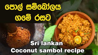 පොල් සම්බෝලය ගමේ රසට l sri lankan pol sambol recipe Cuisine of srilanka [upl. by Athalia]