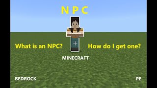 MINECRAFT What is an NPC [upl. by Teloiv906]