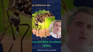 Fiebre del Nilo Occidental  VNO vídeo COMPLETO httpsyoutubeigLdNn8sfEosiOFpN7nK7iOP8oef [upl. by Singhal709]