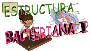 Estructura de una celula bacteriana I [upl. by Einohpets]