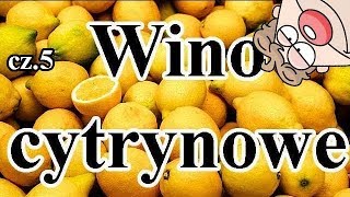 Wino Cytrynowe cz5  podsumowanie eksperymentu winnego [upl. by Cavan]