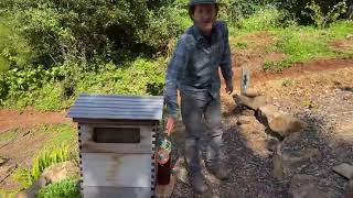 How to give your bees water [upl. by Enyar]