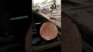 Big wood cutting bandsaw sawmil wood shorts [upl. by Nalhsa]