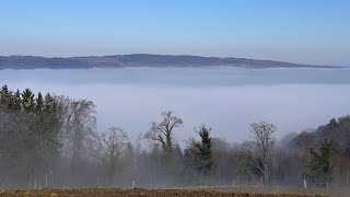 Hochwacht Mammern im Winter  mit Blick auf das Nebelmeer über dem Untersee mammern [upl. by Oren362]