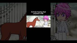 Animals Hearing Their Purpose In Life [upl. by Candie511]