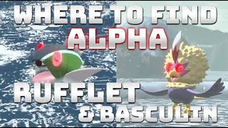 How to get ALPHA HISUIAN RUFFLETBRAVIARY amp ALPHA BASCULINBASCULEGION in Pokémon Legends Arceus [upl. by Nirrej124]