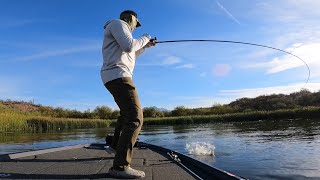 Fall Fishing At SAGUARO LAKE [upl. by Ettenil793]