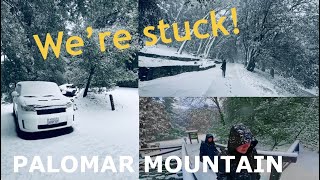 Palomar Mountain  April Snow in Doane Valley Campground [upl. by Ylatfen769]