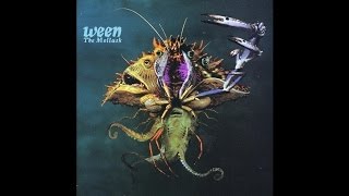 Ween  The Mollusk Sessions  Mutilated Lips [upl. by Nylirad]