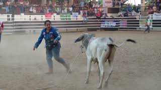 2024 Masbate Rodeo Finals Lassoing on Foot Women Student Category [upl. by Idieh9]