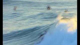 Bodyboard quot DK quot XIKEN Productions feat Portuguese billabong rider [upl. by Luce]