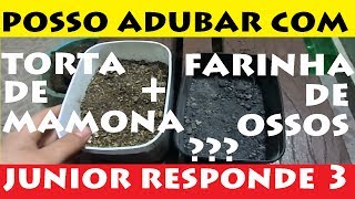 Posso Adubar com Torta de Mamona  Farinha de ossos  Junior Responde  3 [upl. by Crescantia833]